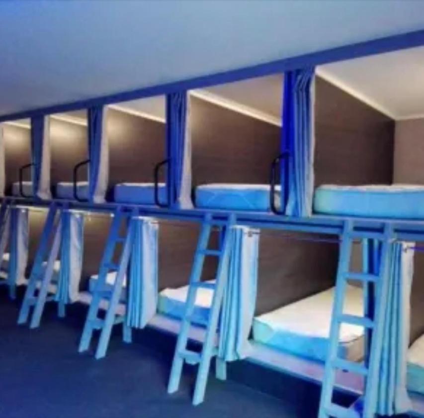 Swansea Backpacker Lodge المظهر الخارجي الصورة