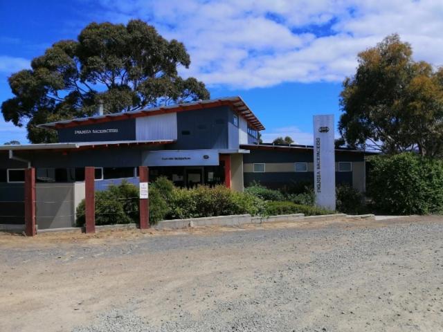 Swansea Backpacker Lodge المظهر الخارجي الصورة